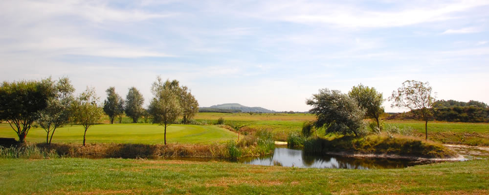 Golf Course Golf Course